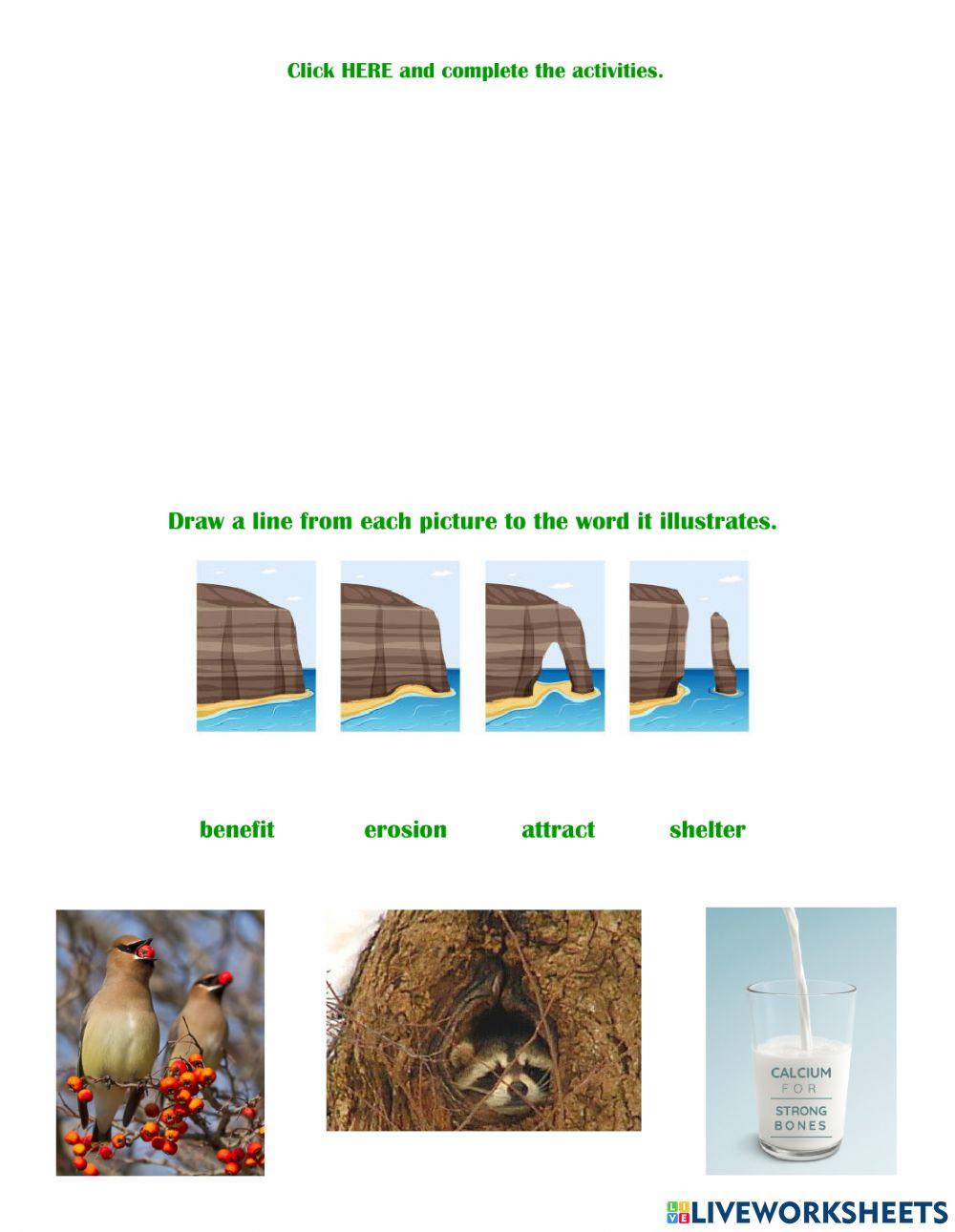 2300339 | Benefits of Planting Trees | Ginger Jantz