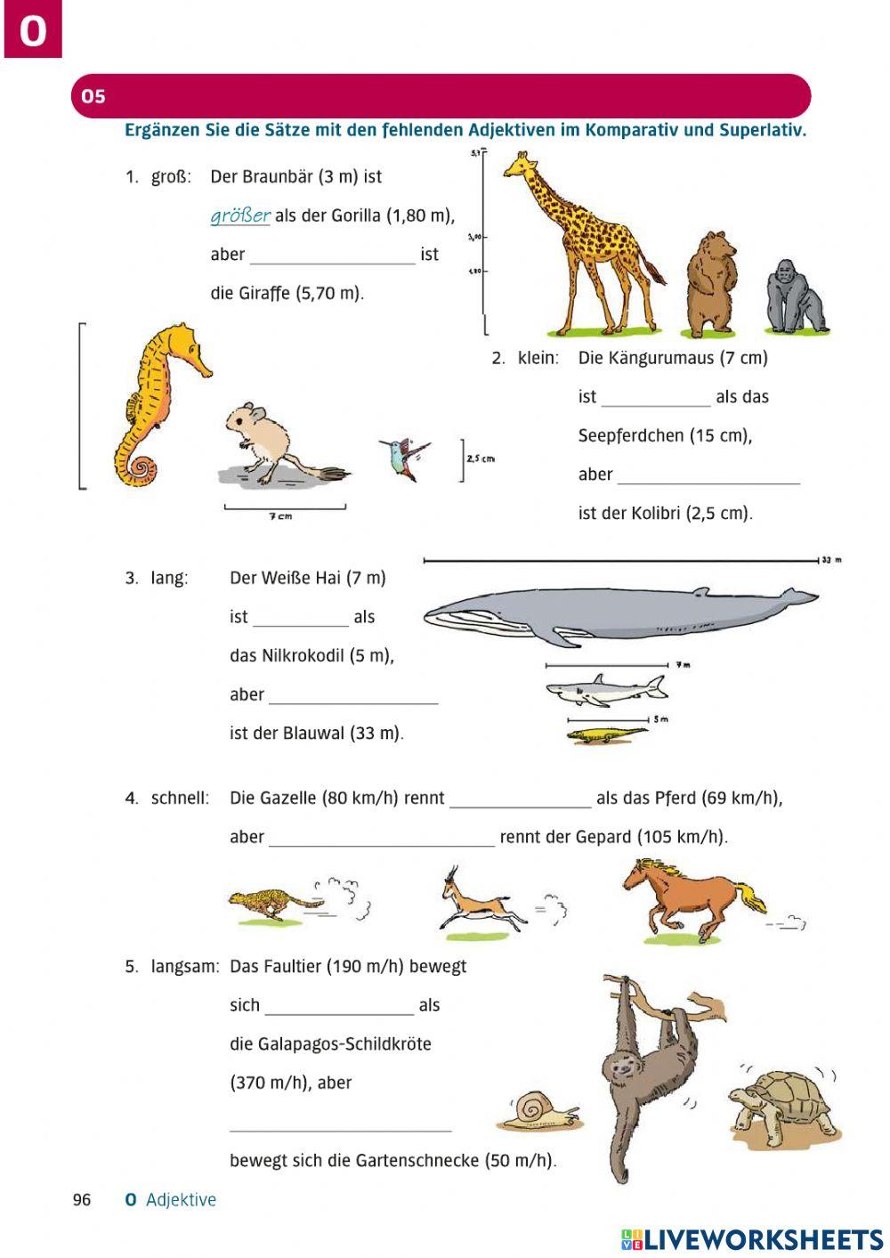A2 Lek9 Wortschatz und Grammatik O5