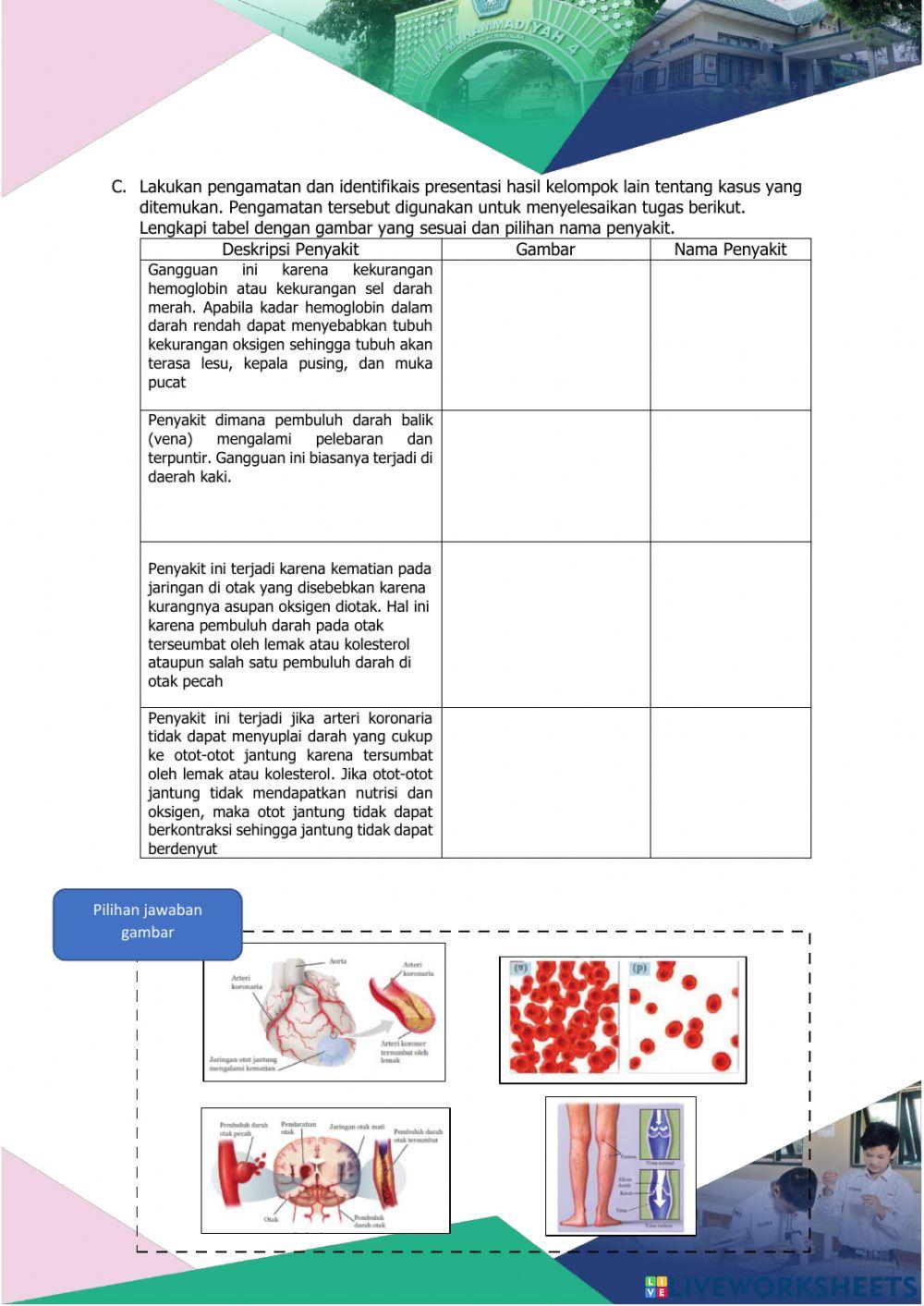 LKPD Sistem Peredaran Darah