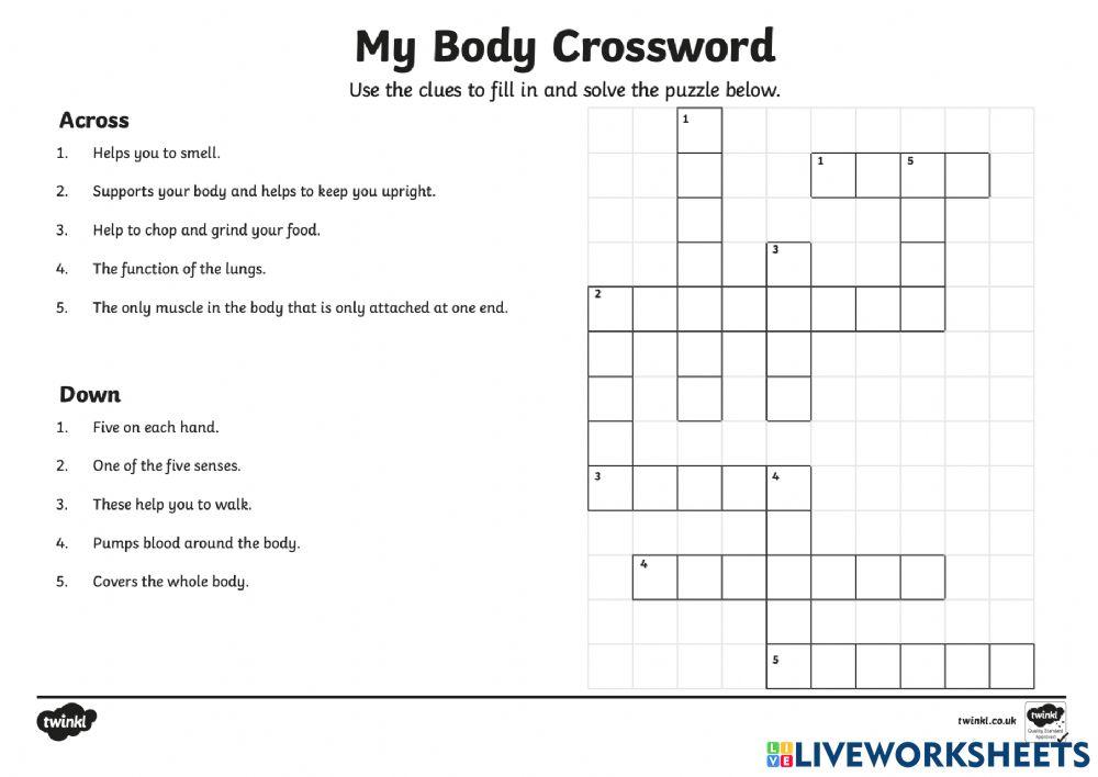 My body crossword online exercise for Live Worksheets