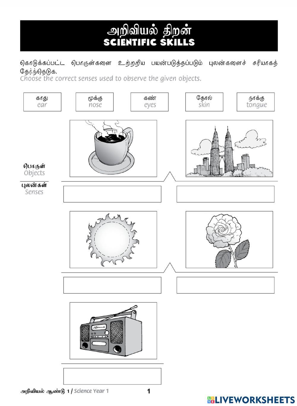 Tutor Sukses 2023 Sains Tahun 1(Tamil) Tutor Sukses 2023 Sains Tahun 1(Tamil)