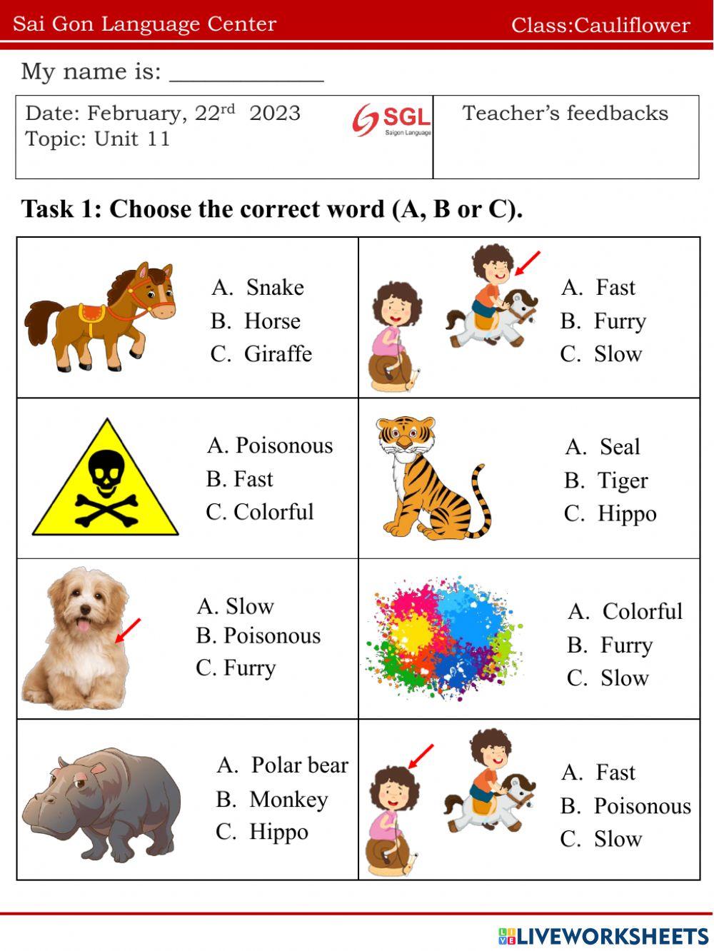 Cauli.FF1.U11(22.02)