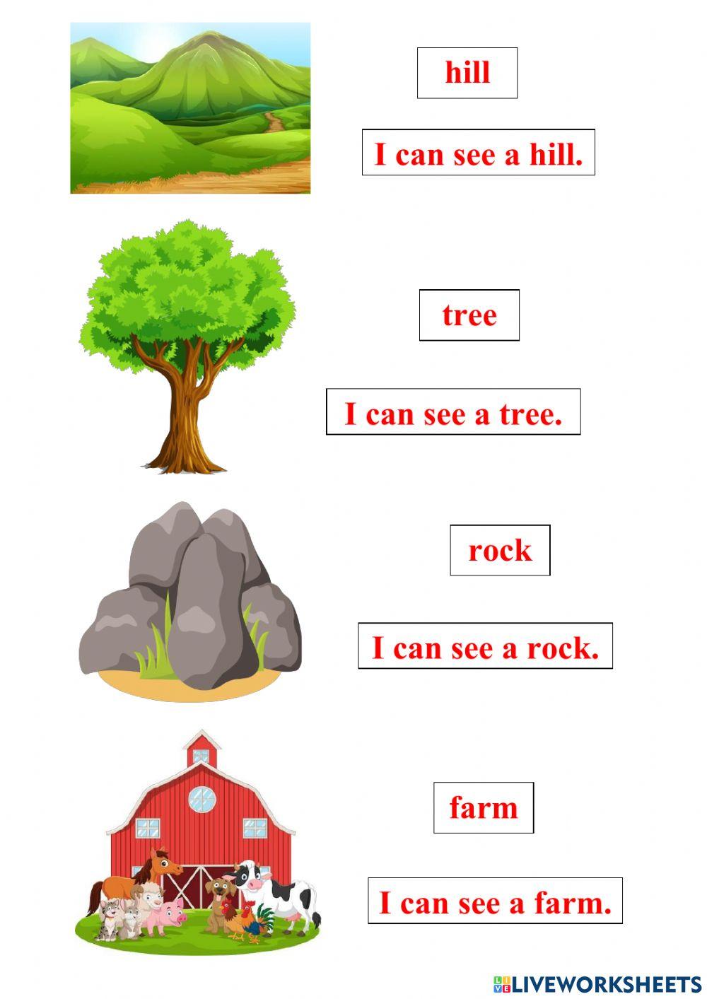 In the COUNTRYSIDE - LESSON