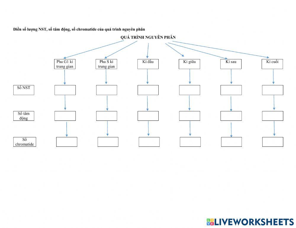 quá trình nguyên phân