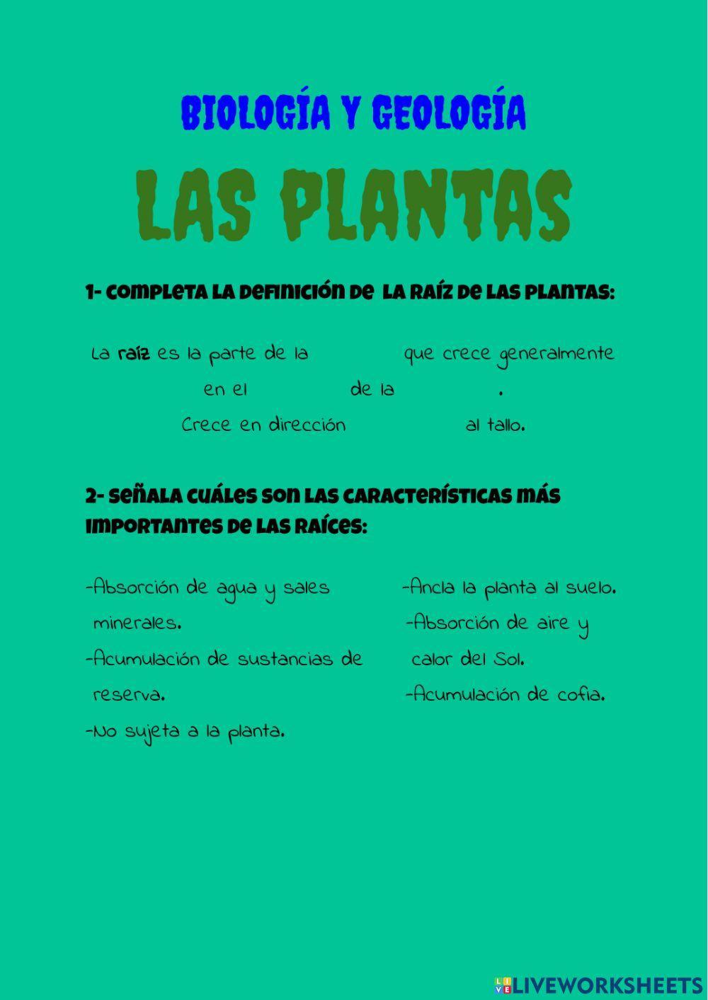 Plantas IV