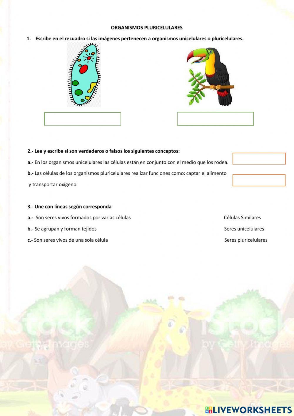 Organismos pluricelulares