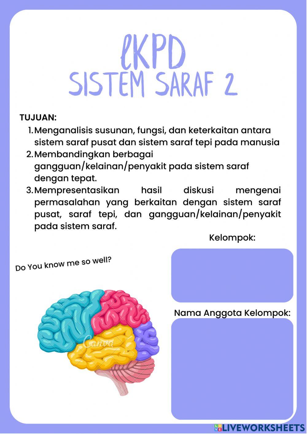 LKPD Sistem saraf 2