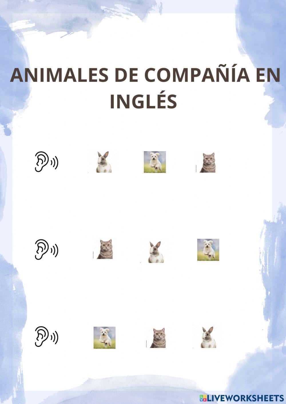 Animales de compañia en ingles