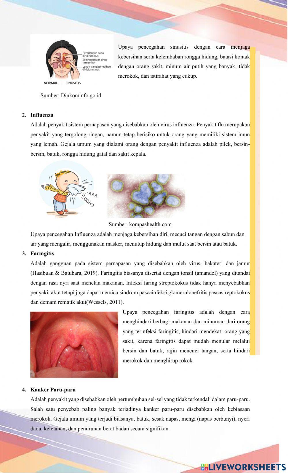 Materi 3 sistem pernapasan