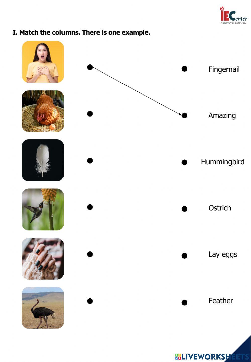 CAM 2 - UNIT 3 - LESSON 2