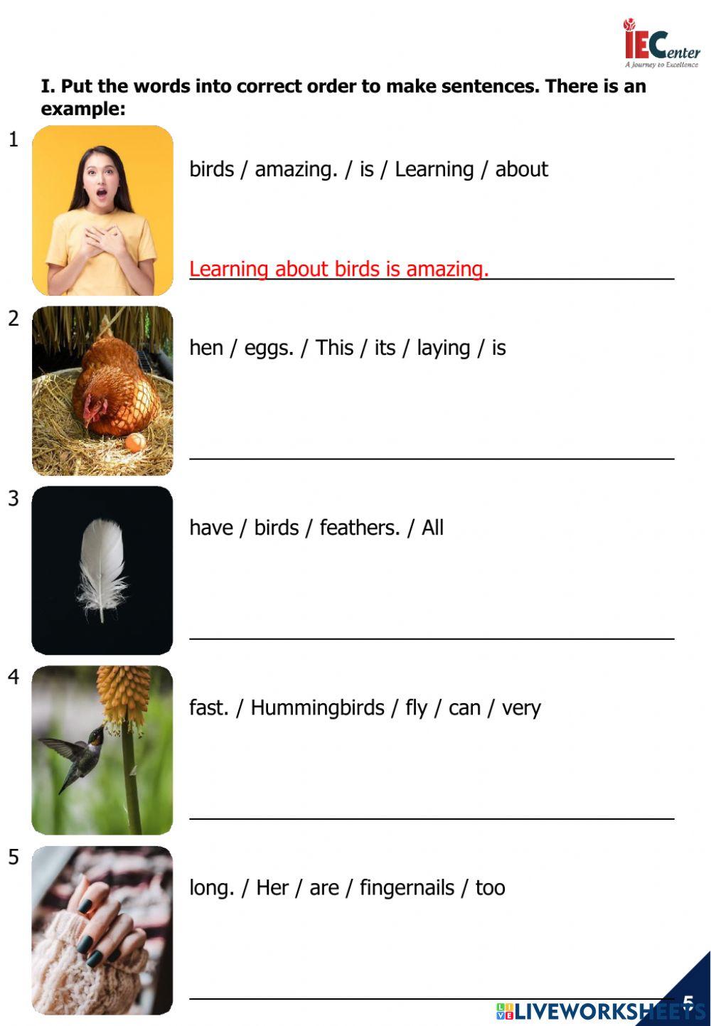 CAM 2 - UNIT 3 - LESSON 2