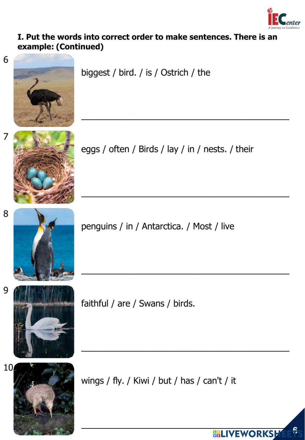 CAM 2 - UNIT 3 - LESSON 2