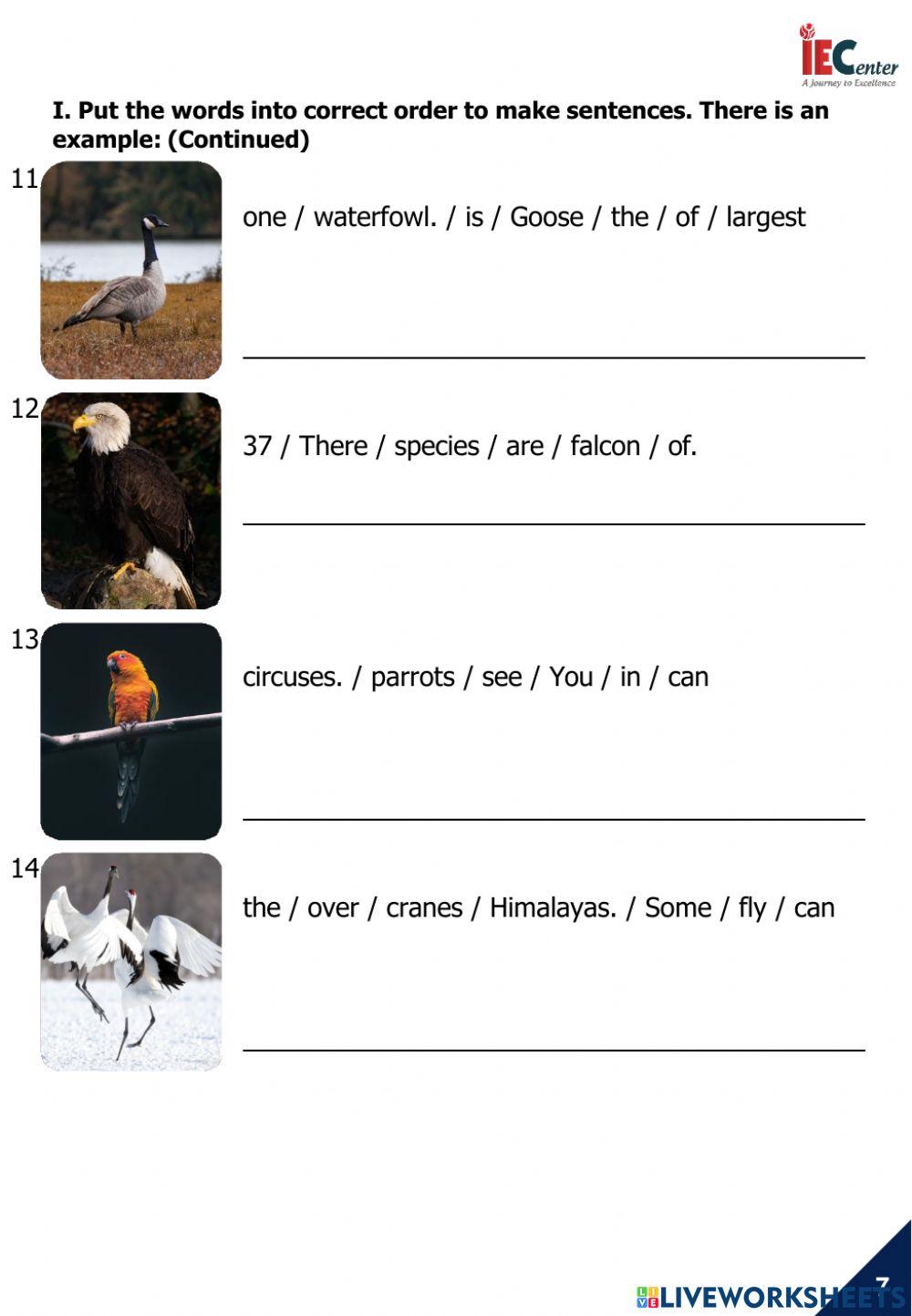 CAM 2 - UNIT 3 - LESSON 2
