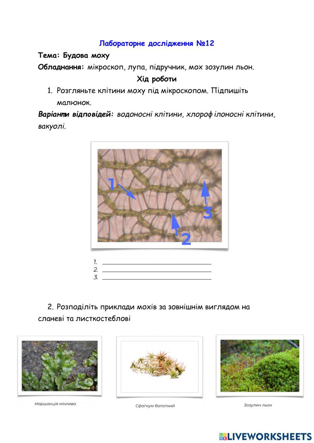 Будова моху