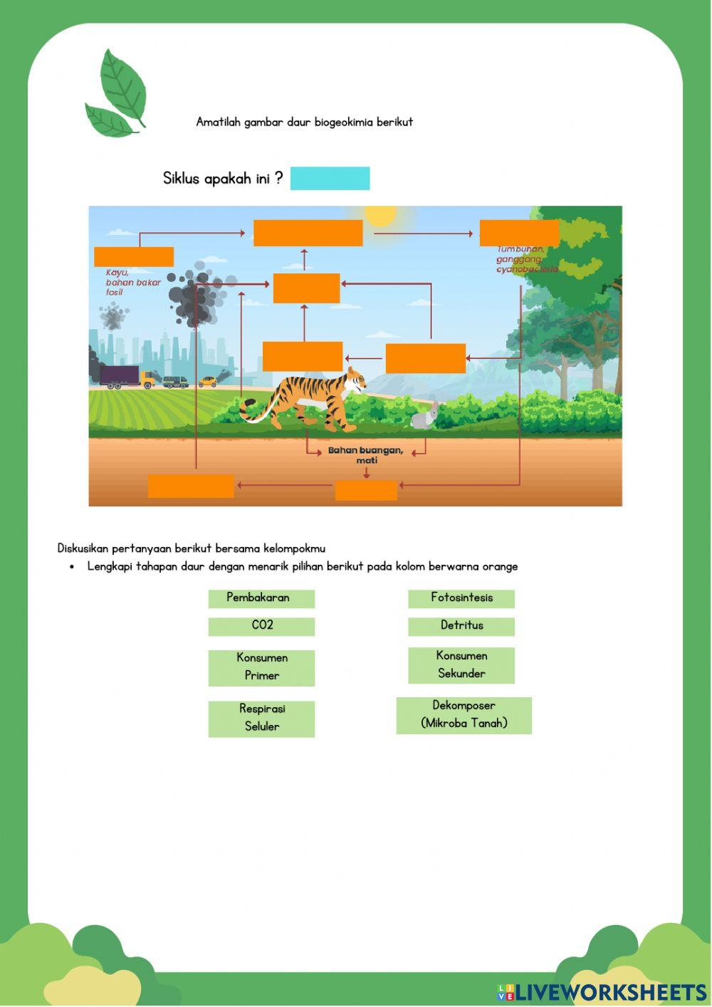 LK Daur Biogeokimia (Kel. Baru Mulai)