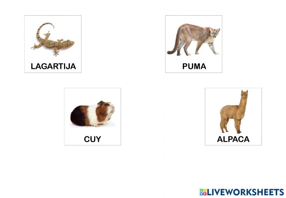 Sílabas y animales de la sierra