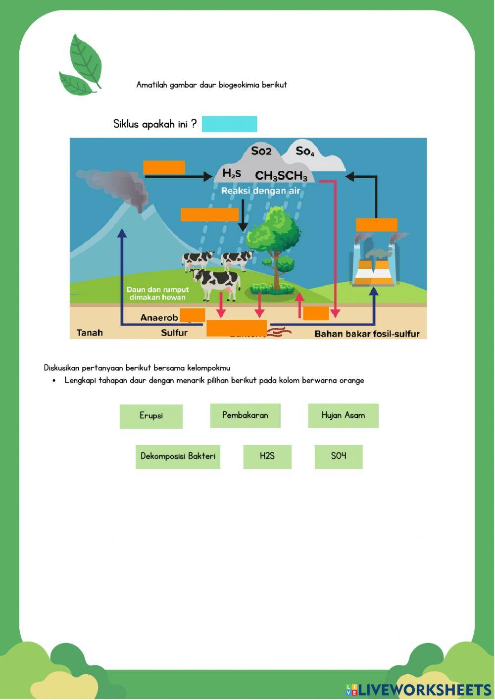 LK Daur Biogeokimia (Kel. Mahir)