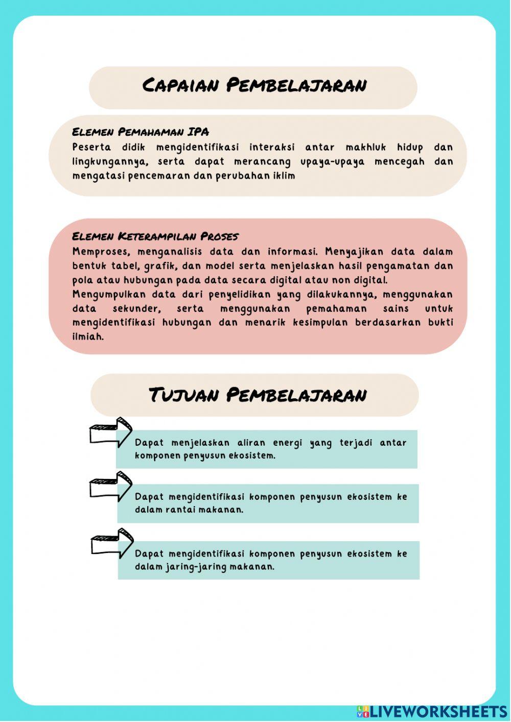 LKPD Aliran Energi, Rantai Makanan dan Jaring-jaring Makanan