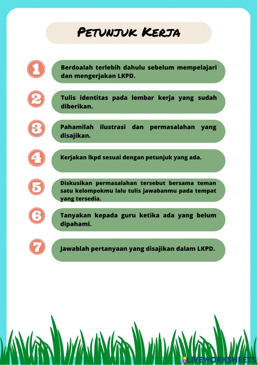 LKPD Aliran Energi, Rantai Makanan dan Jaring-jaring Makanan