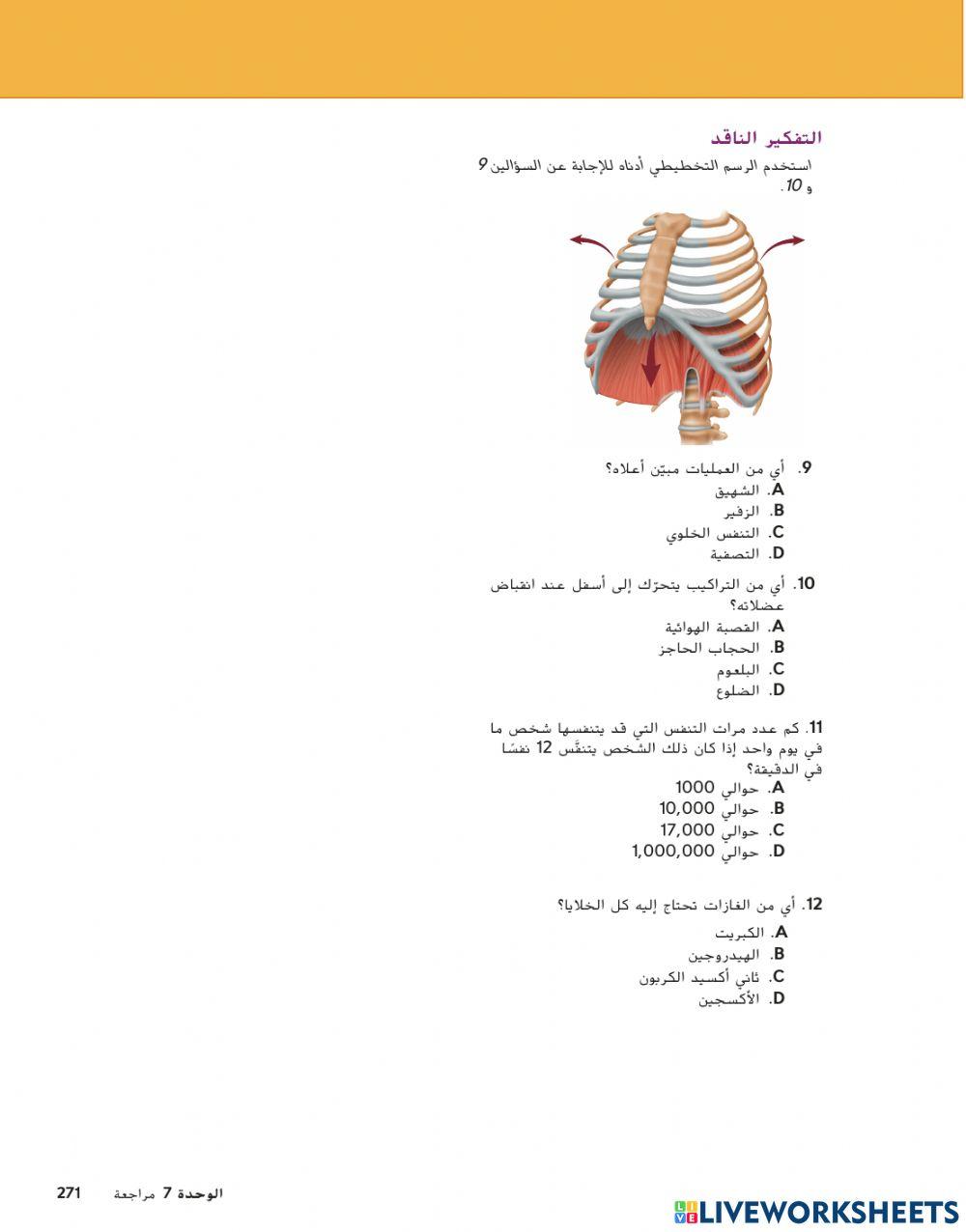 مراجعة الودة 7 الجهاز التنفسي والدوري