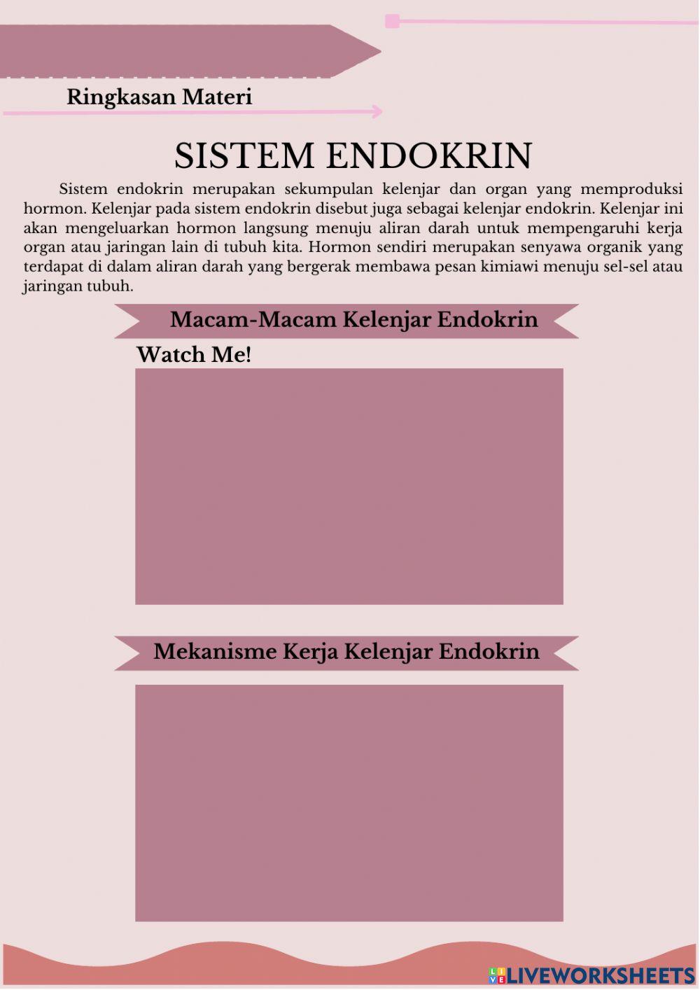 Sistem Koordinasi