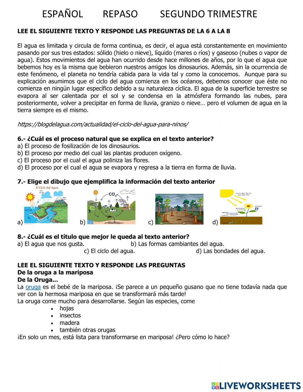 Español segundo trimestre