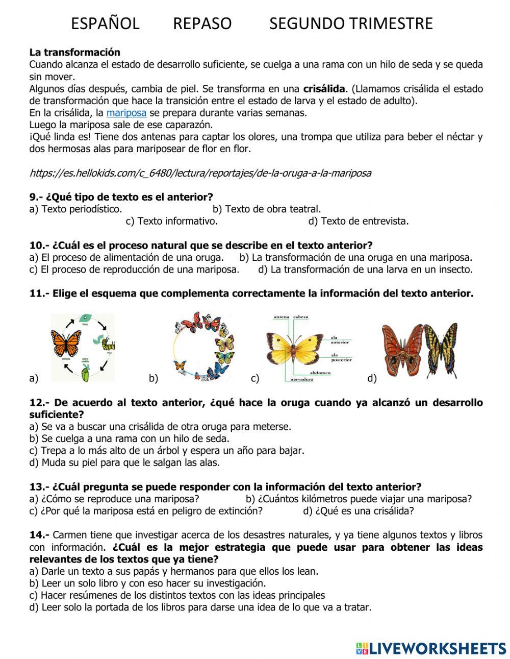 Español segundo trimestre