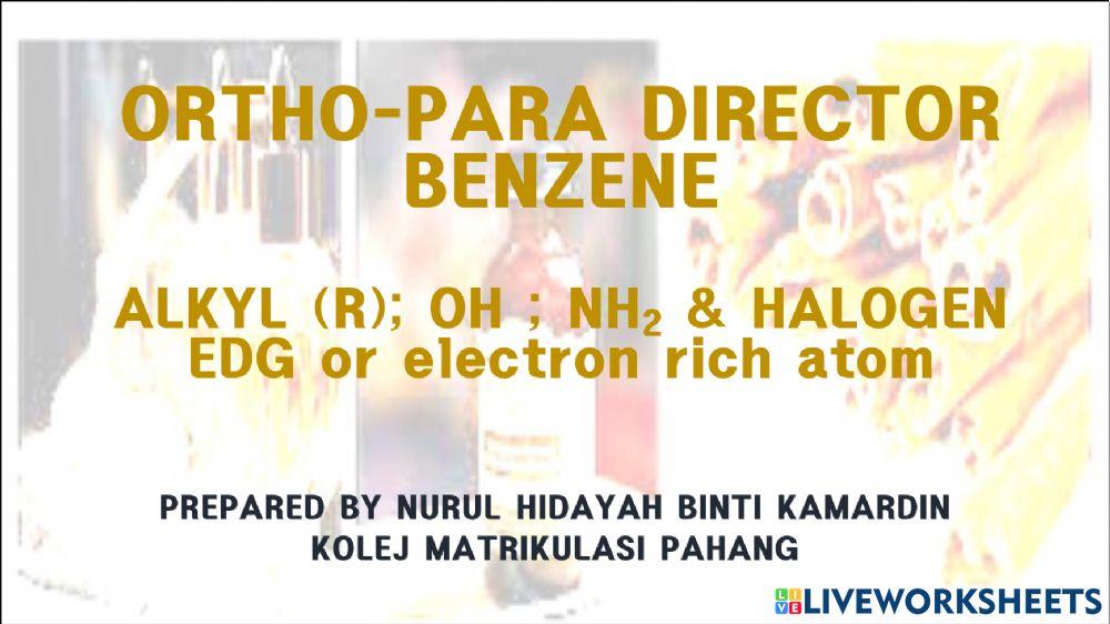 Ortho para director Ortho para director