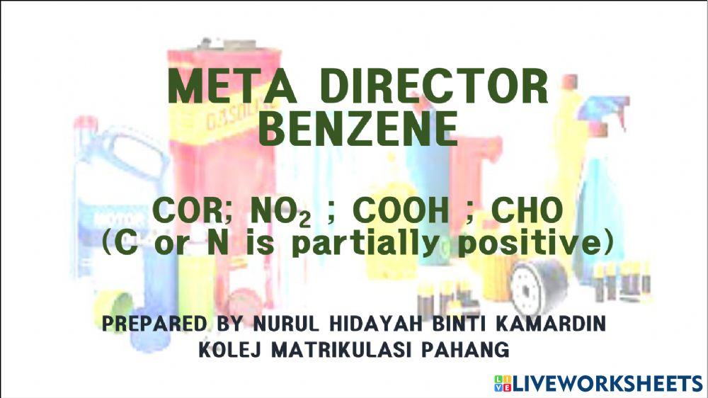 Meta director Meta director