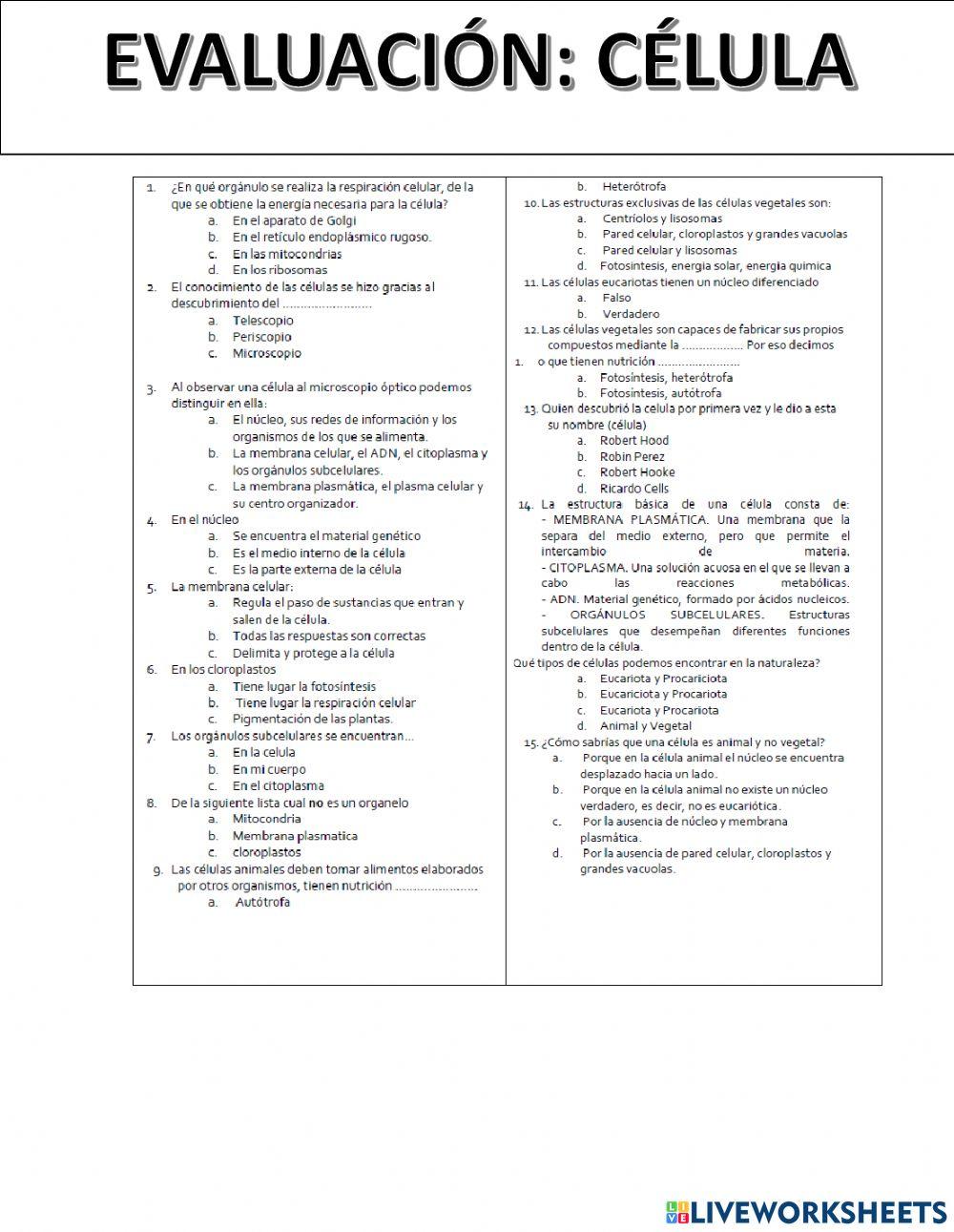 Evaluación de célula