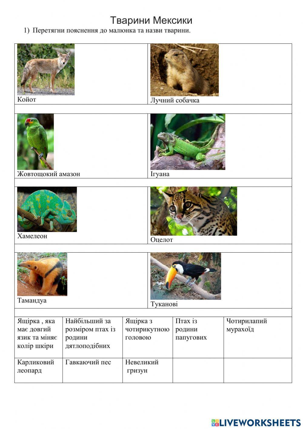 Тварини Мексики