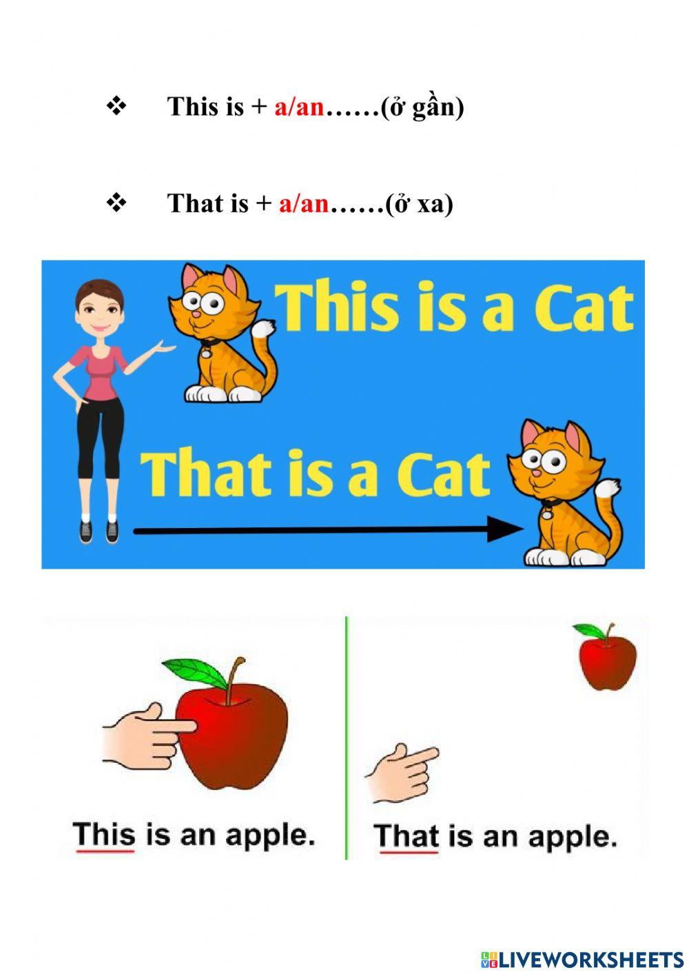 How many - there is - there are - is there - are there - this is - that is