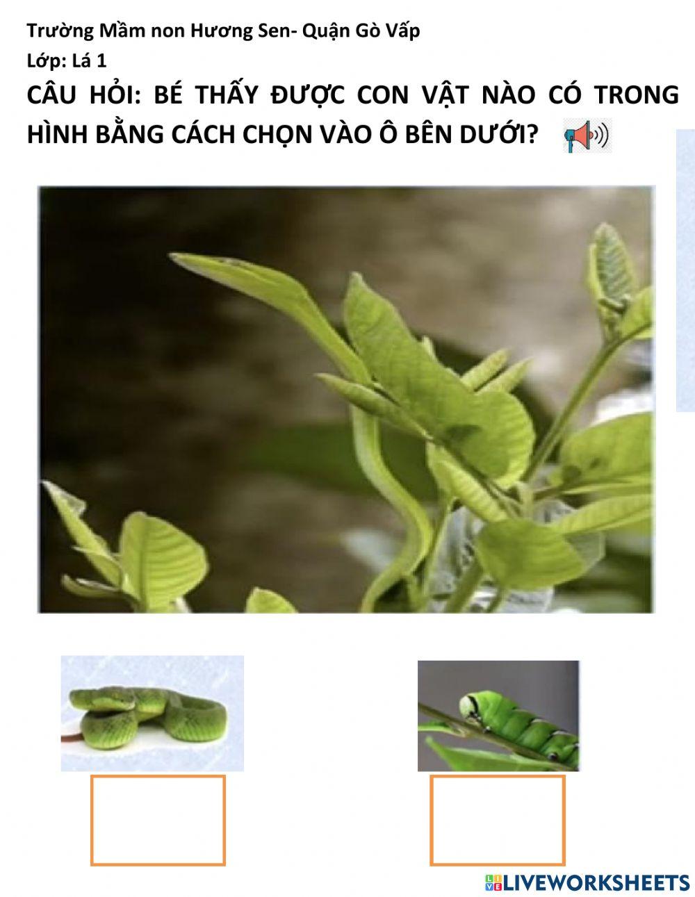 Sự ngụy trang của con vật