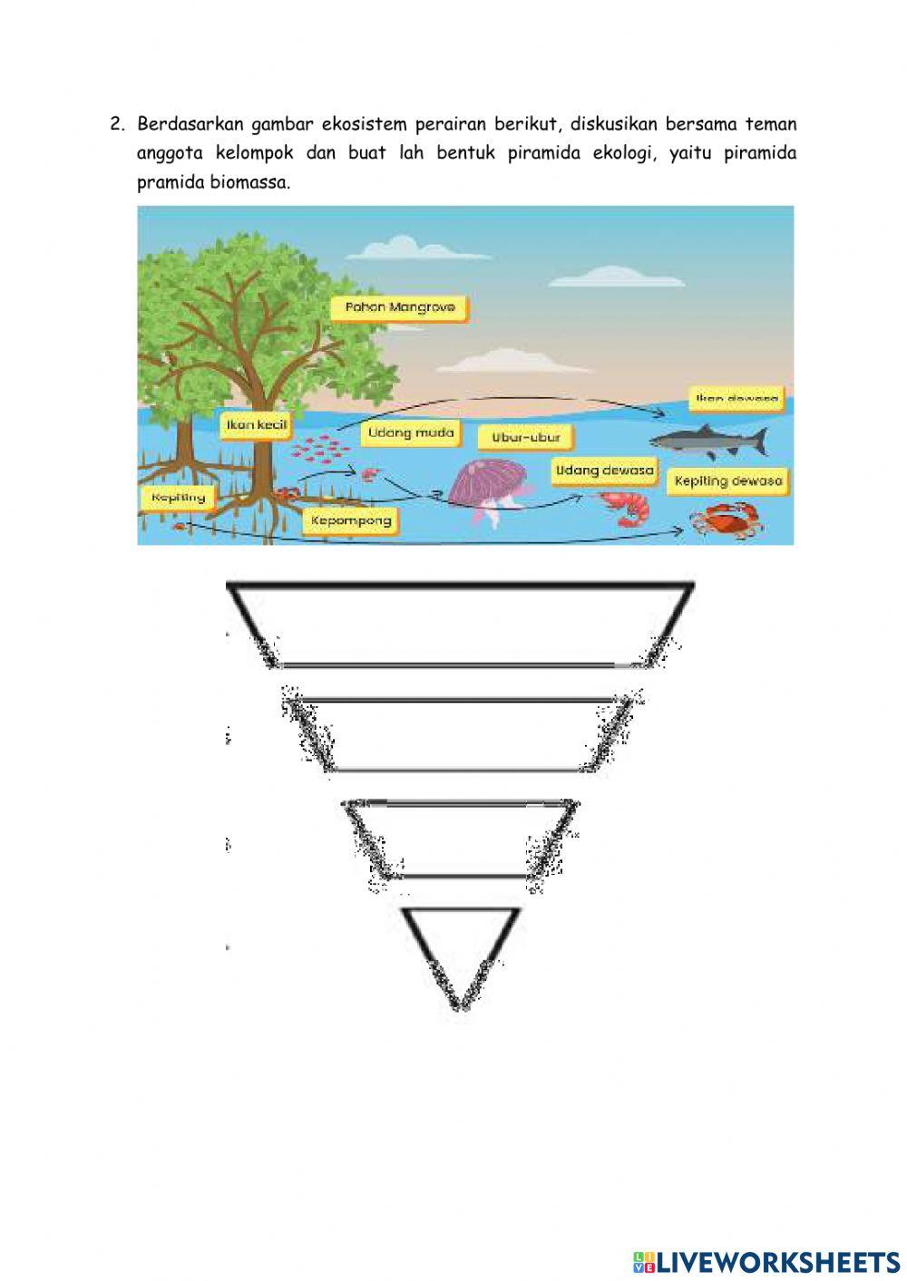 Ekosistem dan Interaksi Antar Komponen