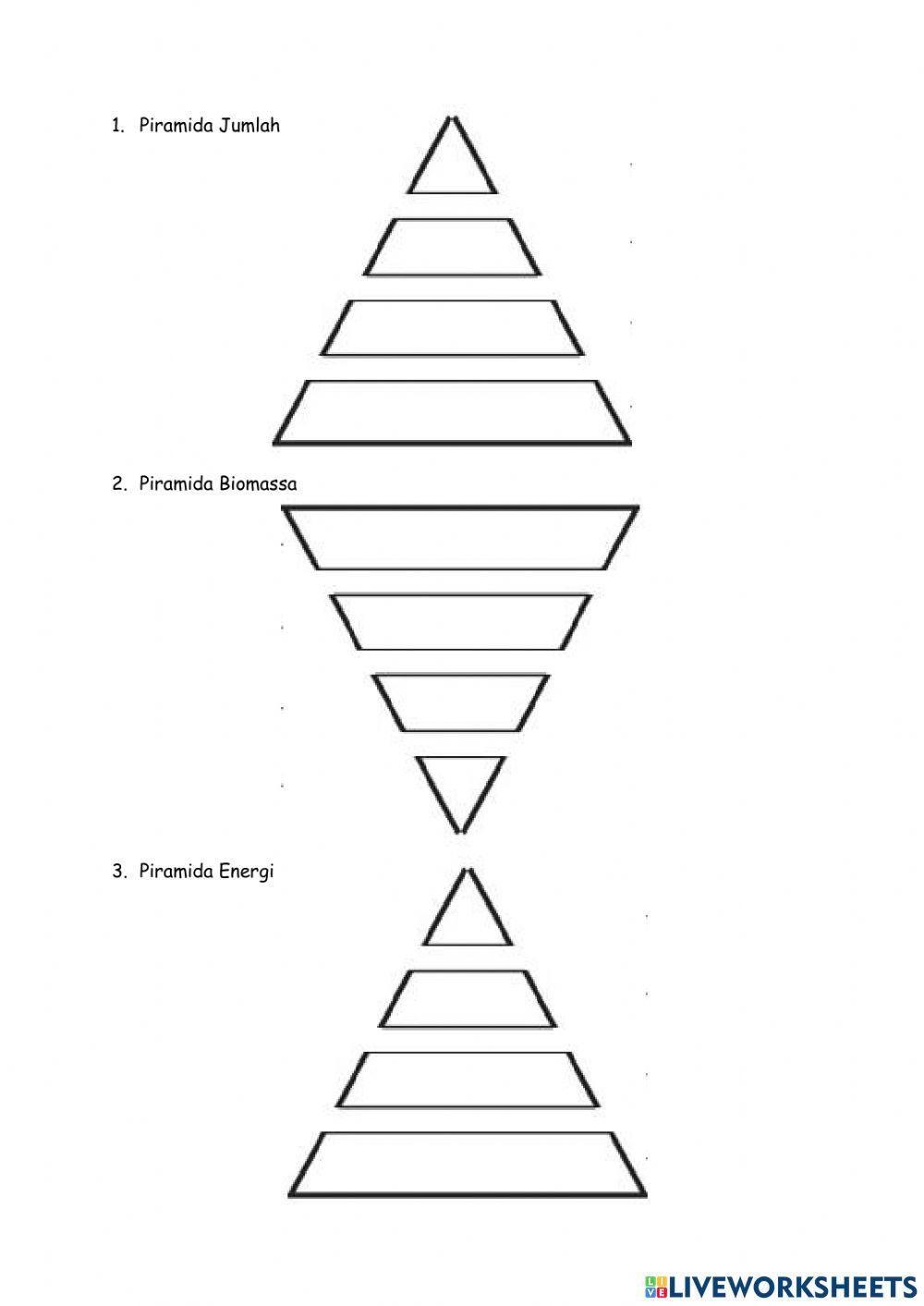 Ekosistem dan Interaksi Antar Ekosistem