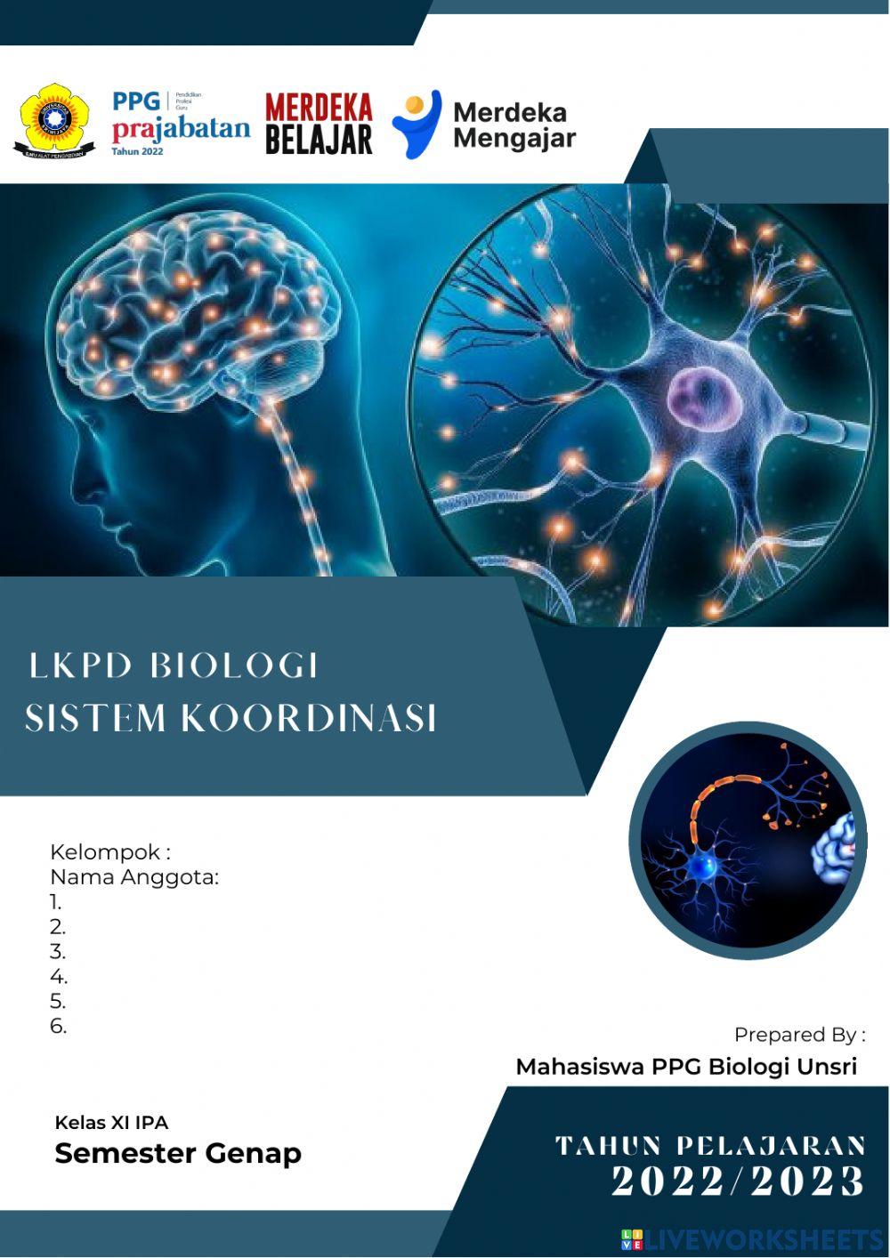 Sistem Saraf Pada Manusia