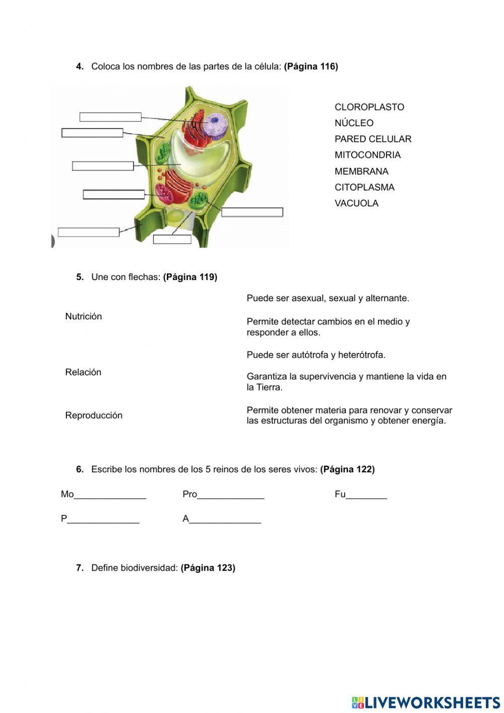 Los seres vivios: Clasificación y funciones