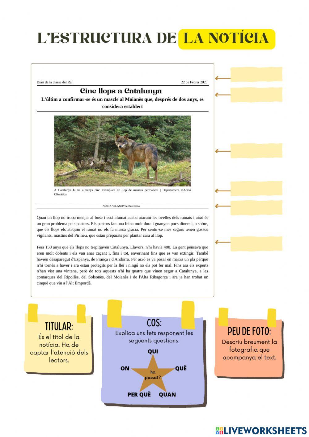 Comprensió lectora de la notícia