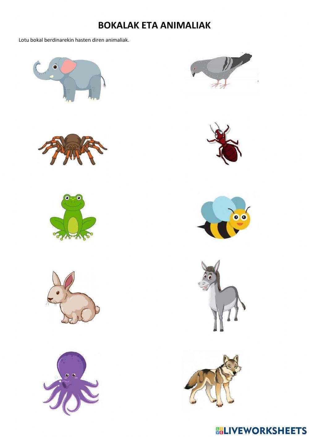 Animaliak eta bokalak