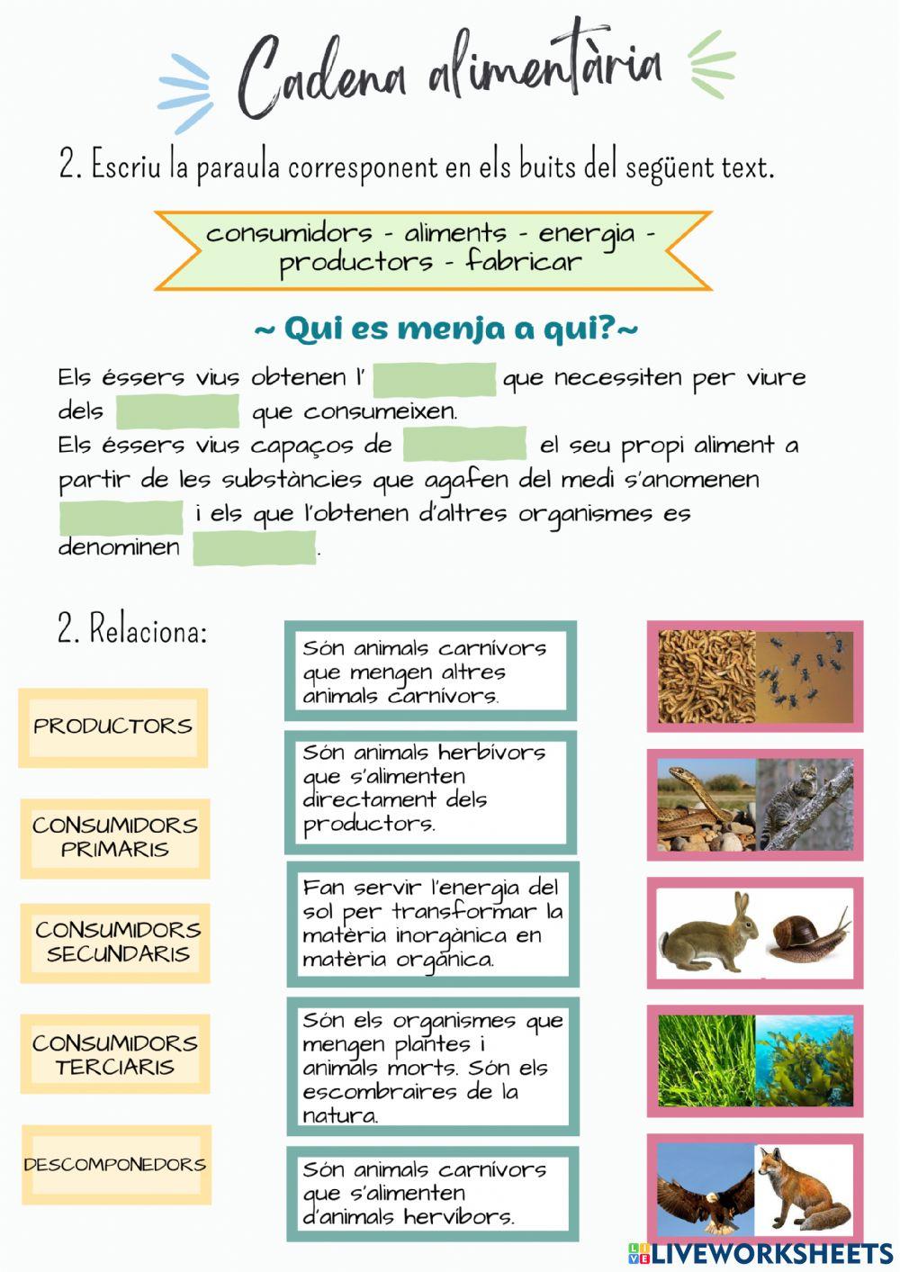 Ecosistemes i cadenes alimentàries