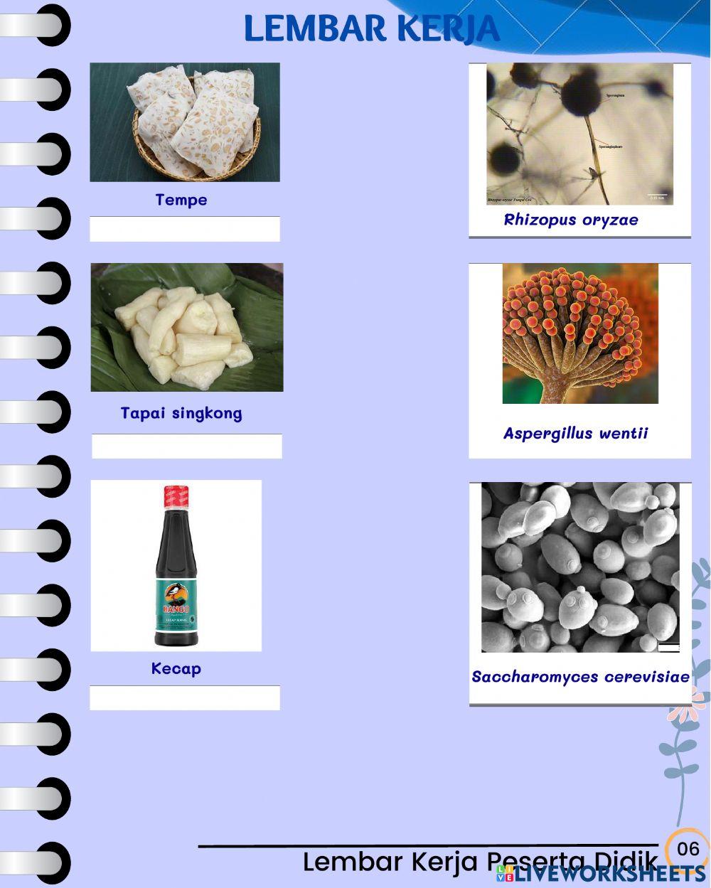 Bioteknologi konvensional