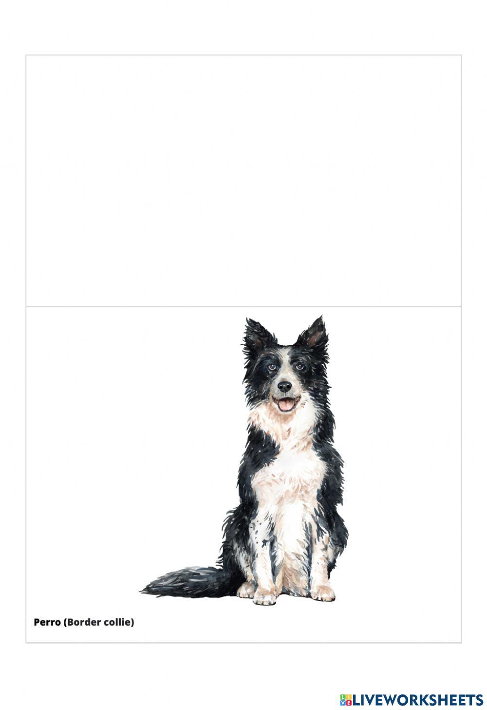 Descripción Animales