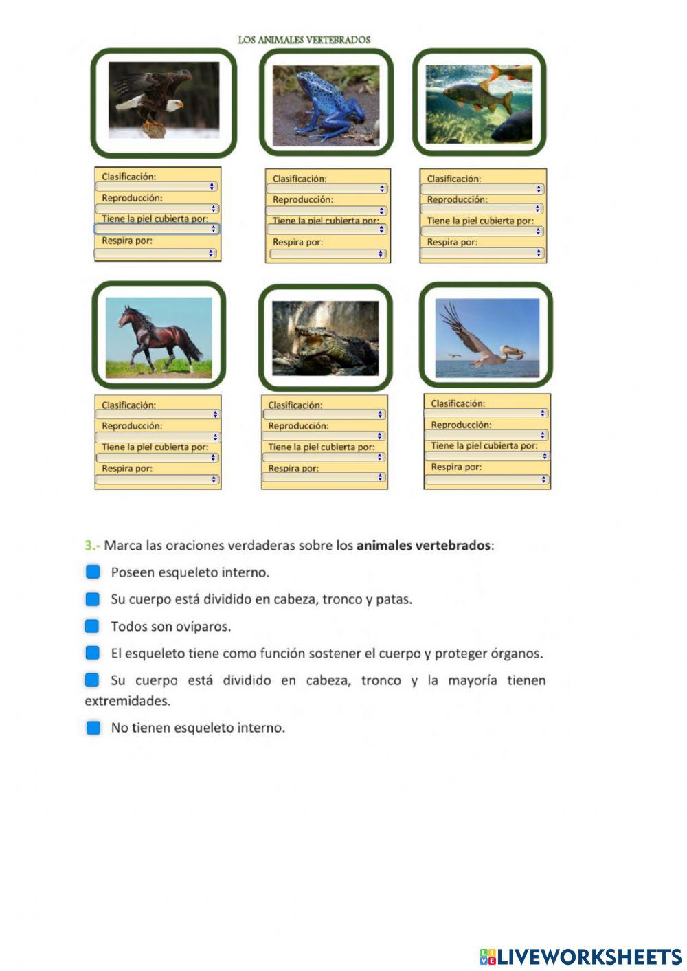 Animales vertebrados