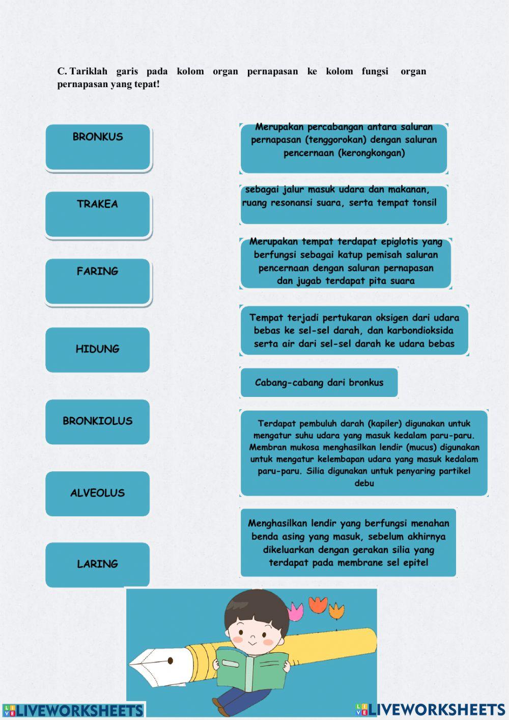 LKPD Organ Pernapasan 