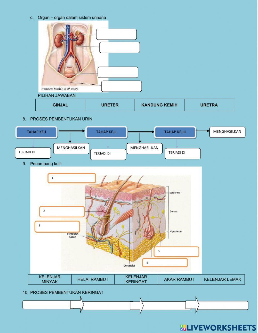 Peniaian harian ipa ke-2 kelas 8