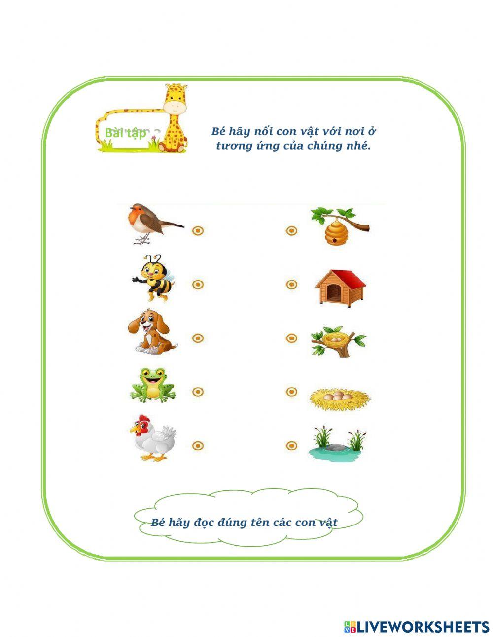 Bé hãy nối con vật với nơi ở tương ứng của chúng nhé.