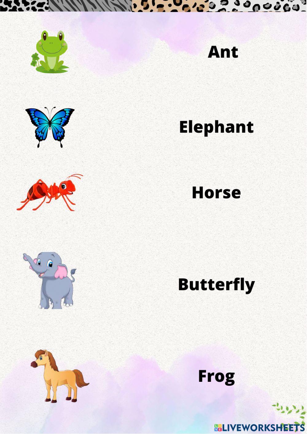 Animals Vocabulary