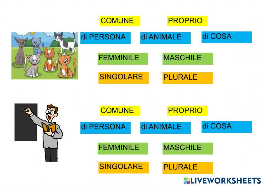 NOMI classificazione
