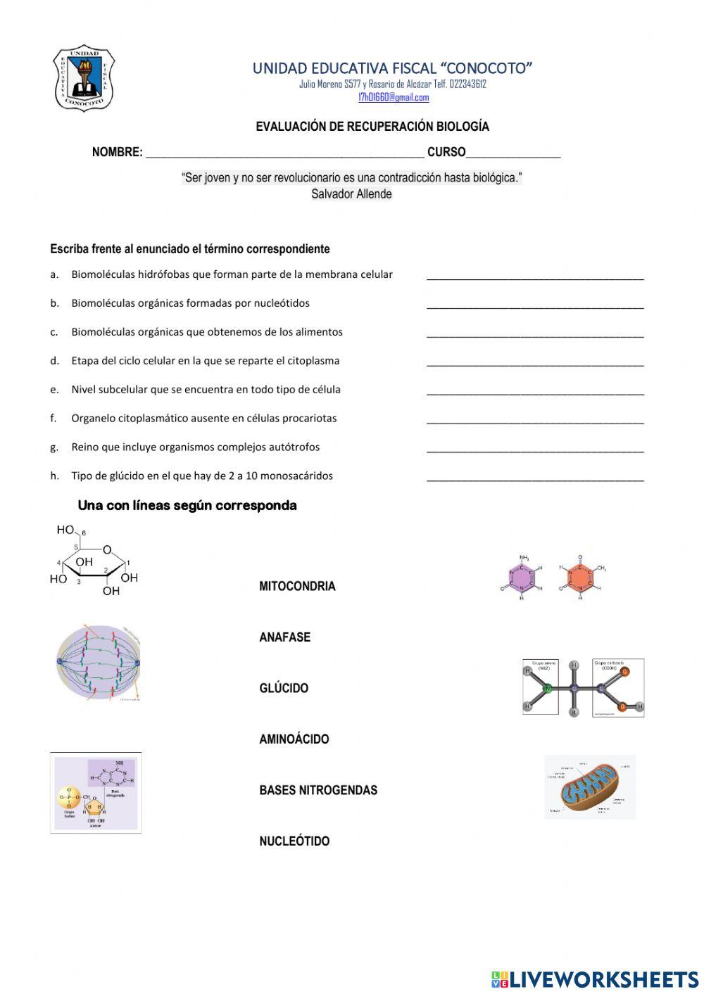 Bioelementos y biomoléculas