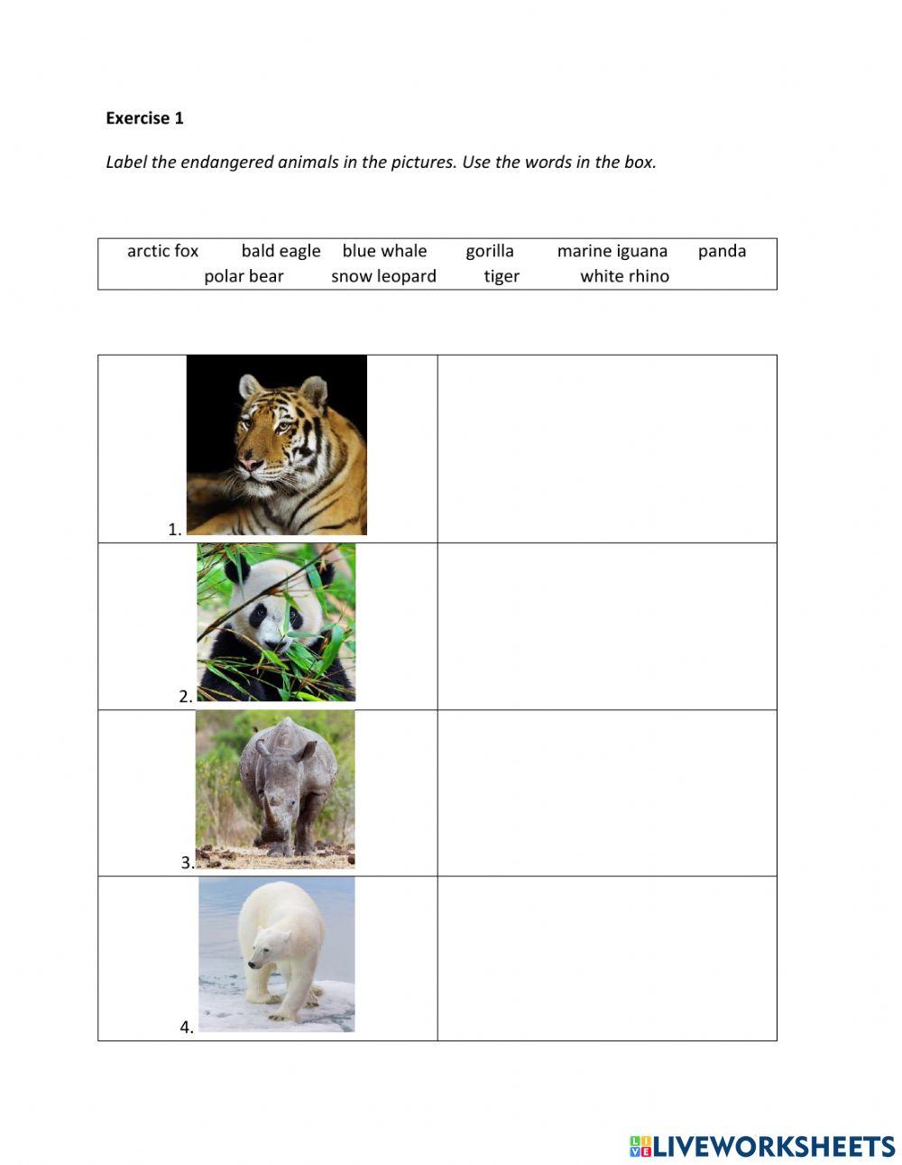 IE2, Unit 8, Writing, Exercise 1